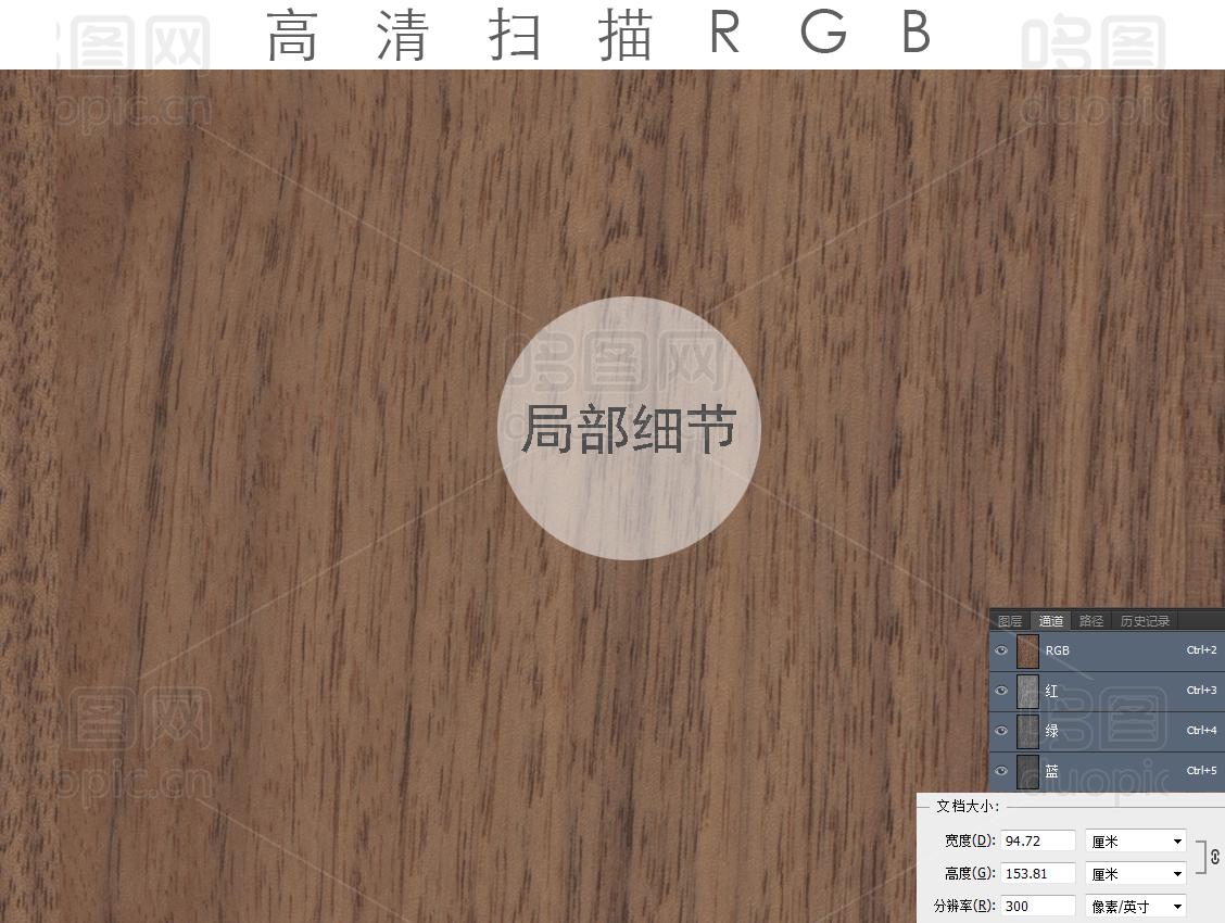 浅胡桃高清扫描